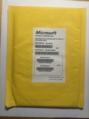 Microsoft Embd SQL Server Standard Runtime 2022 IOT ESD OLC 24 Core STD 10 CALS