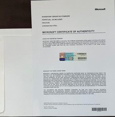 SharePoint Server Subscription Edition Standard Unlimited CALs 76P-02045