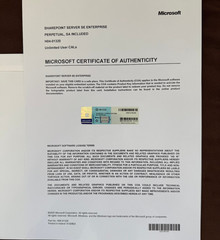 SharePoint Server Subscription Edition Enterprise Unlimited CALs 76P-02045